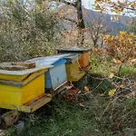 Il Capriccio Del Papa * Genga (Ancona)