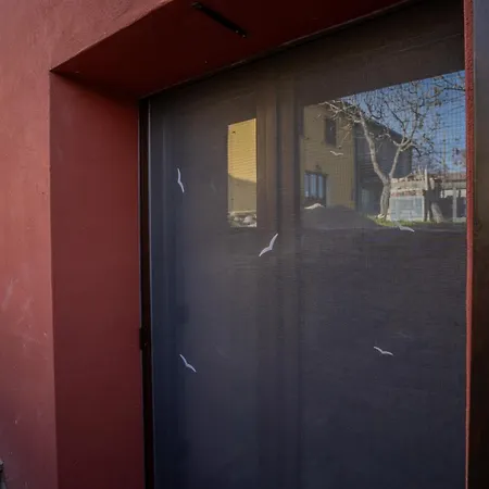 Il Capriccio Del Papa