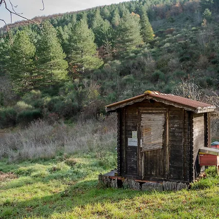 Дом отдыха Il Capriccio Del Papa