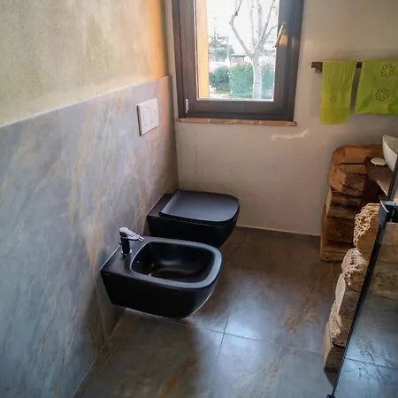 Il Capriccio Del Papa