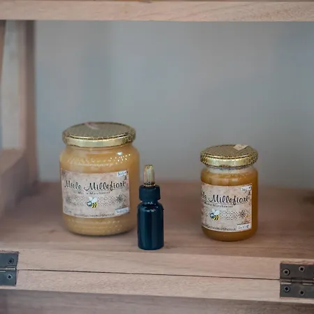 Il Capriccio Del Papa Дом отдыха