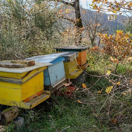 Il Capriccio Del Papa * Дженга