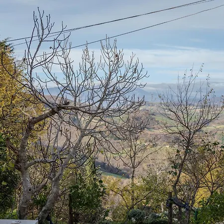 Il Capriccio Del Papa *