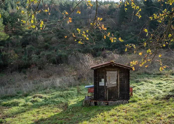 Σπίτι διακοπών Il Capriccio Del Papa *