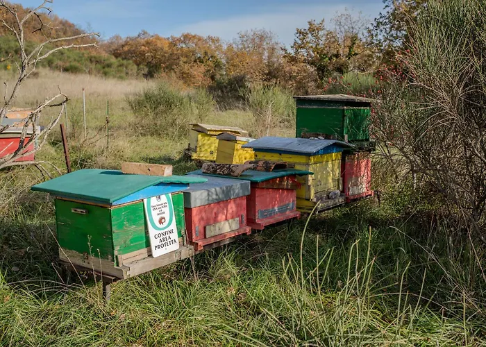 Il Capriccio Del Papa Genga (Ancona)