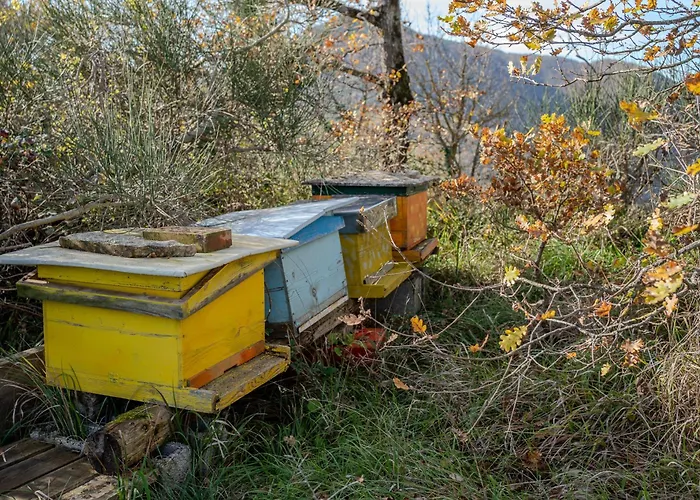 Il Capriccio Del Papa * Genga (Ancona)