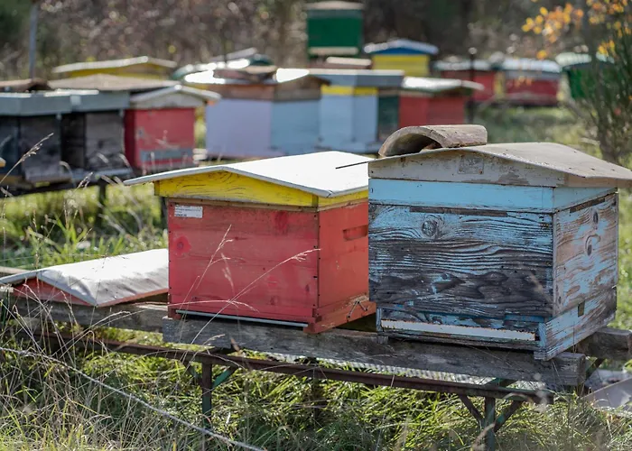 Σπίτι διακοπών Il Capriccio Del Papa Genga (Ancona)