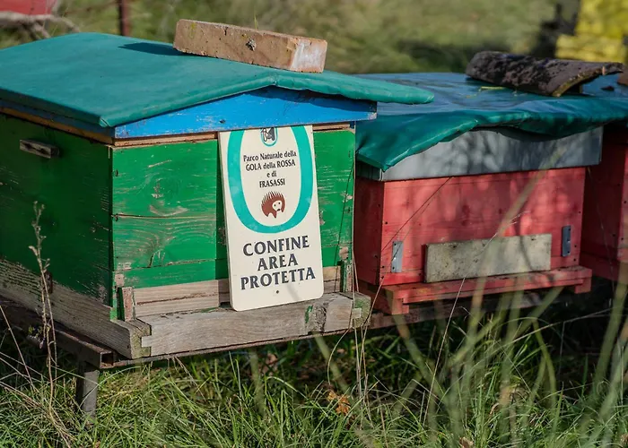 Il Capriccio Del Papa *