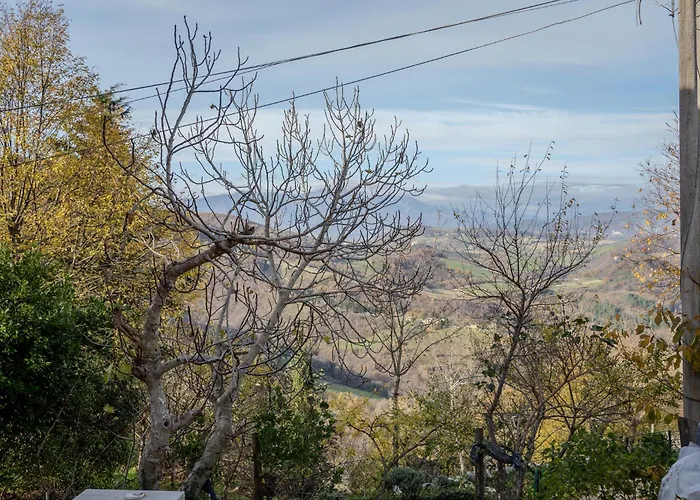 Il Capriccio Del Papa *